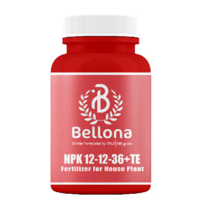 Bellona 12-12-36 NPK Powder