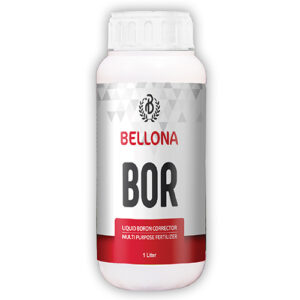 Bellona Bor