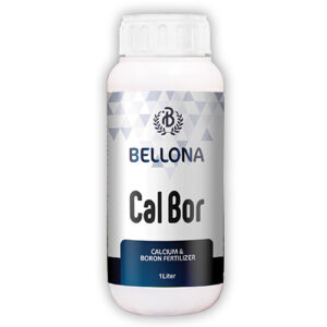 Bellona Cal Bor