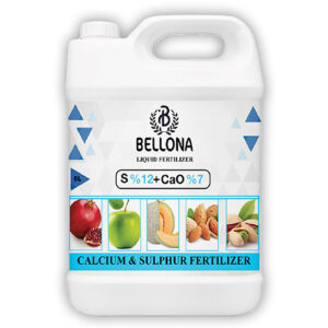 Bellona Calcium Sulphur