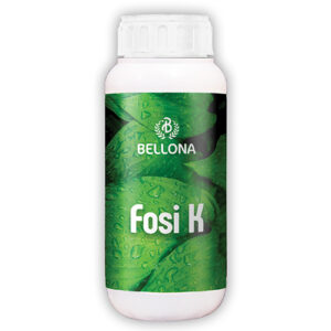 Bellona Fosi K